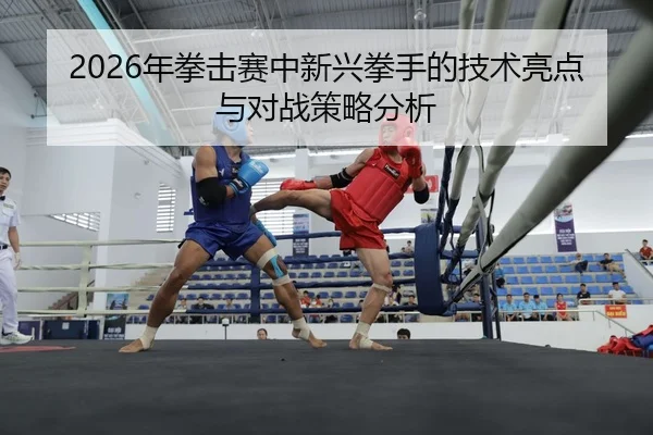 nian-quan-ji-sai-zhong-xin-xing-quan-shou-de-ji-shu-liang-dian-yu-dui-zhan-ce-lve-fen-xi-2-288.jpg