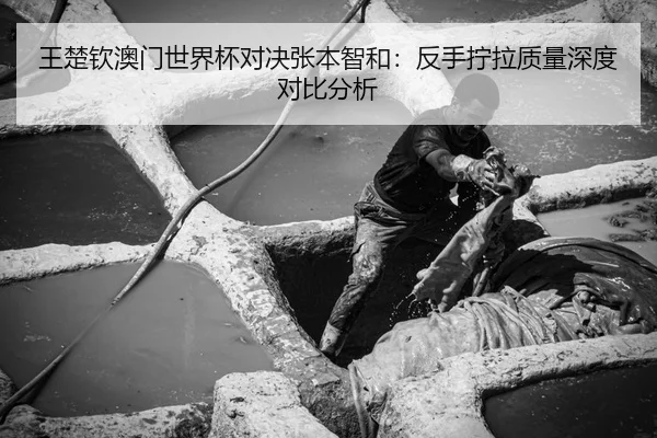 王楚钦澳门世界杯对决张本智和：反手拧拉质量深度对比分析