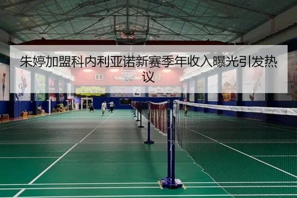 zhu-ting-jia-meng-ke-nei-li-ya-nuo-xin-sai-ji-nian-shou-ru-bao-guang-yin-fa-re-yi-2-695.jpg